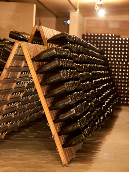 Bodega Ramanyà