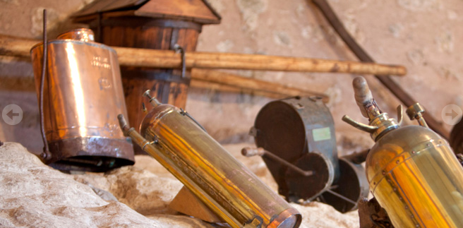 Visita a la bodega